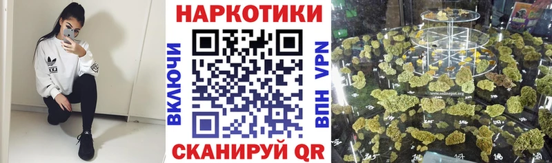 Где купить наркоту Ивдель Alpha-PVP Мефедрон ГАШ Конопля