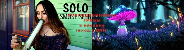 стафф Аркадак