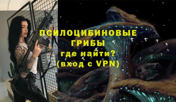 стафф Аркадак