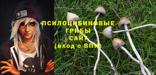 стафф Аркадак